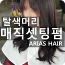 아리아스헤어 이미지