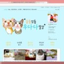 금동살롱 이미지