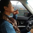 고고농장 이미지