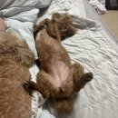 안경다리해장국 | 능력과 여유