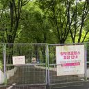 [1박2일 청도여행] 대구근교여행 청도글램핑 &#39;청도프로방스글램핑&#39;