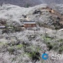 섬진강매화로 이미지