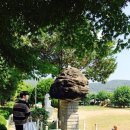 록봉민속교육박물관 | (부산여행/ 여행 에피소드) 아이폰으로 찍은 부산 가덕도 여행 / 록봉어린이민속교육박물관
