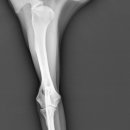 워너비 동물병원 이미지