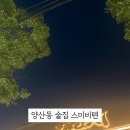 스미비;텐 이미지