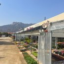 자양꽃직매장 이미지