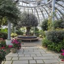 솔향수목원(전시온실) 이미지