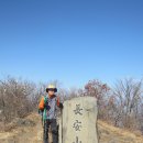 새울신협 이미지