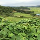 해남목장 이미지