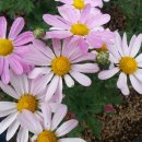 양안농장 이미지