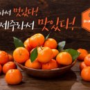 제주후니네 이미지