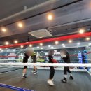 카이안복싱PT프리미엄GYM 이미지
