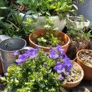 아동상담 이미지