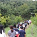 포도향기 이미지