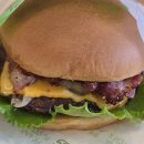 새진한방병원 이미지