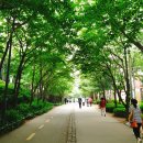 경의선숲길 이미지