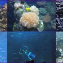 여수세계박람회장 이미지