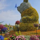 ■고양국제 💐 꽃박람회:25.5.11(일)💫일산호수공원 방문기💕꽃노래모음 이미지