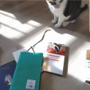 동네북(Book) | [북클럽] 열번 망설이다 가입한 문학동네 북클럽(n 민음사 북클럽 9기 후기)