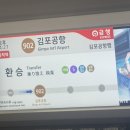 제주우리금속 | 33,600원 렌터카부터 다금바리까지! 40대 임산부 우대혜택 제주 여행 기록