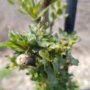 맹씨네 농장 이미지