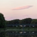 작은마을, 작은숲 이미지