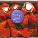 금왕농장 이미지