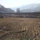 평새말목장2 이미지