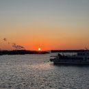 궁평항 어항구역 내 주차장 일부 | 경기도 근교 드라이브 궁평항 일몰 포인트 수산시장 푸드트럭