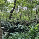 현성목장 이미지