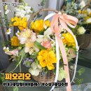 후리지아 미니꽃 케이크 만들기 | 대구 수성구 지산동 꽃집 봄 꽃바구니 원데이클래스 추천 피오리오