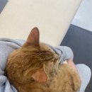 365동물병원 위례점 이미지