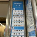 네일사십오(nail45) | [안양네일] 범계역 ‘NAIL45’ 이달의 아트 태닝키티네일 후기