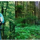 (숲치유) 21. 비만을 숲에서 해결한다. – 숲에서 걷기에 대한 몇 가지 궁금증, 나의 비만도는? 이미지