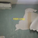 노원-상계-2069 이미지