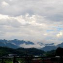 기후미식의 세계 이미지