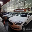 The Euro Motors 이미지