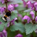 연지상점가 이미지