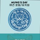 수원시 팔달구 향교로57번길 | 수원역호텔 멍스데이 반려견과 함께하는 특별한 여행지