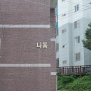 면허 취득기 (부산) 구포 북부 자동차 운전전문학원- 도로주행 합격! 후기