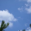 화성카크리닉 이미지