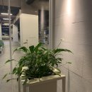 씨유 성수프리미어점 | 기장 부산 힐튼호텔 이그제큐티브룸 +룸서비스 메뉴