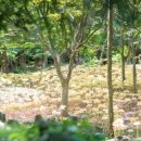 한림공원 이미지