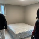 금성세탁 | 전주 금성침대 라지킹 매트리스 앱솔루트 계단 배송, 실사용 후기 강력추천 !