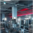 머슬피플 피트니스 이미지