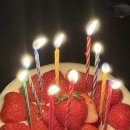 메러디스빅토리 - 거제시 제산로3길 18 | 메러디스빅토리