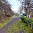 매산큰길 이미지