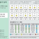 22 중앙일보