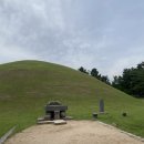 용황로10길(서) | 9월 1주차 | 경주 2박3일 여행 | 황리단길 조밀, 보문단지 올바릇식당, 도검초밥, 늘봄