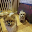 동행호텔 이미지